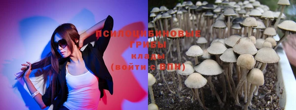 тгк Алексеевка