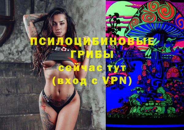 тгк Алексеевка