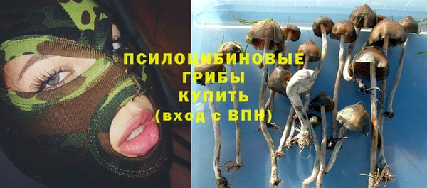 тгк Алексеевка